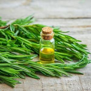 Rosemary Oil